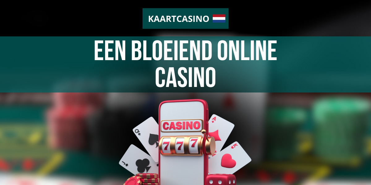 Het bloeiende Nederlandse online casino koninkrijk